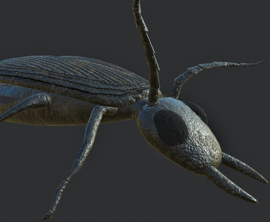 Beetle (Game ready) preview image 1